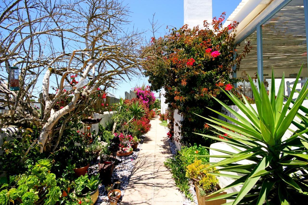 باتيرنوستير Gilcrest Place Guest House المظهر الخارجي الصورة